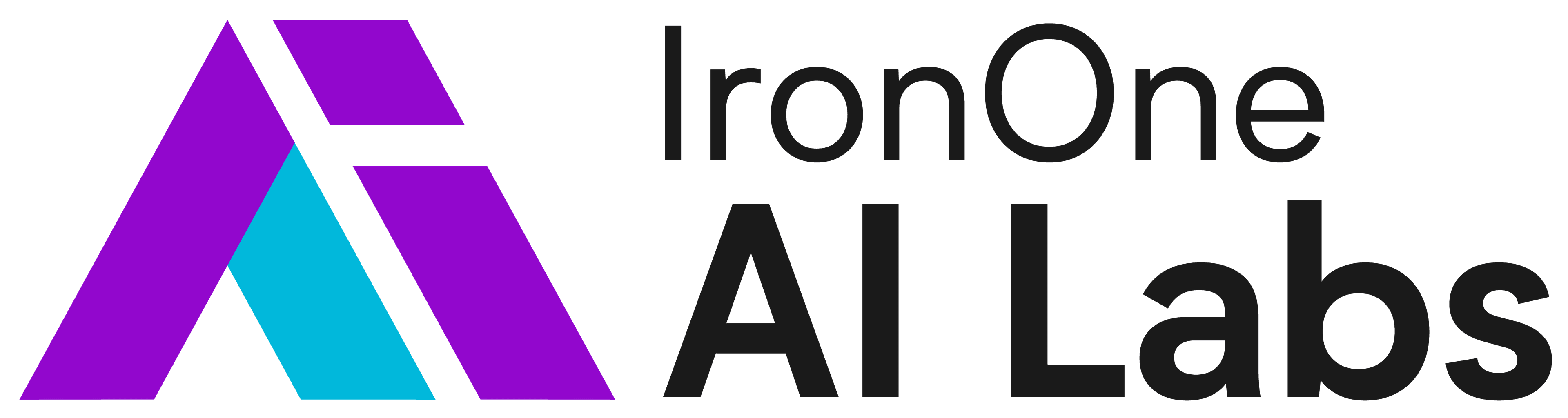 IronOne Logo